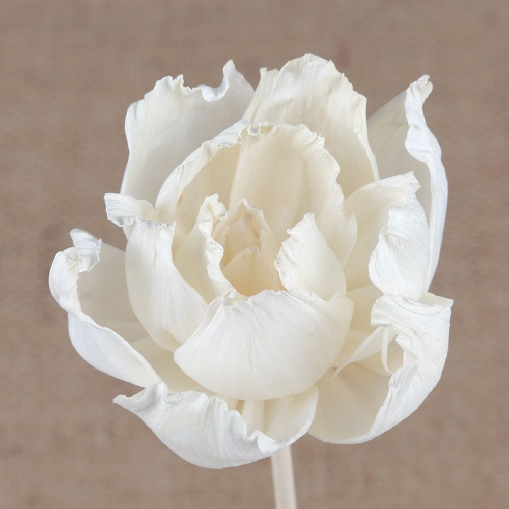 Multipurpose 5cm Natural Handm - огляд і ціна Home Fragrance Diffuser Sticks