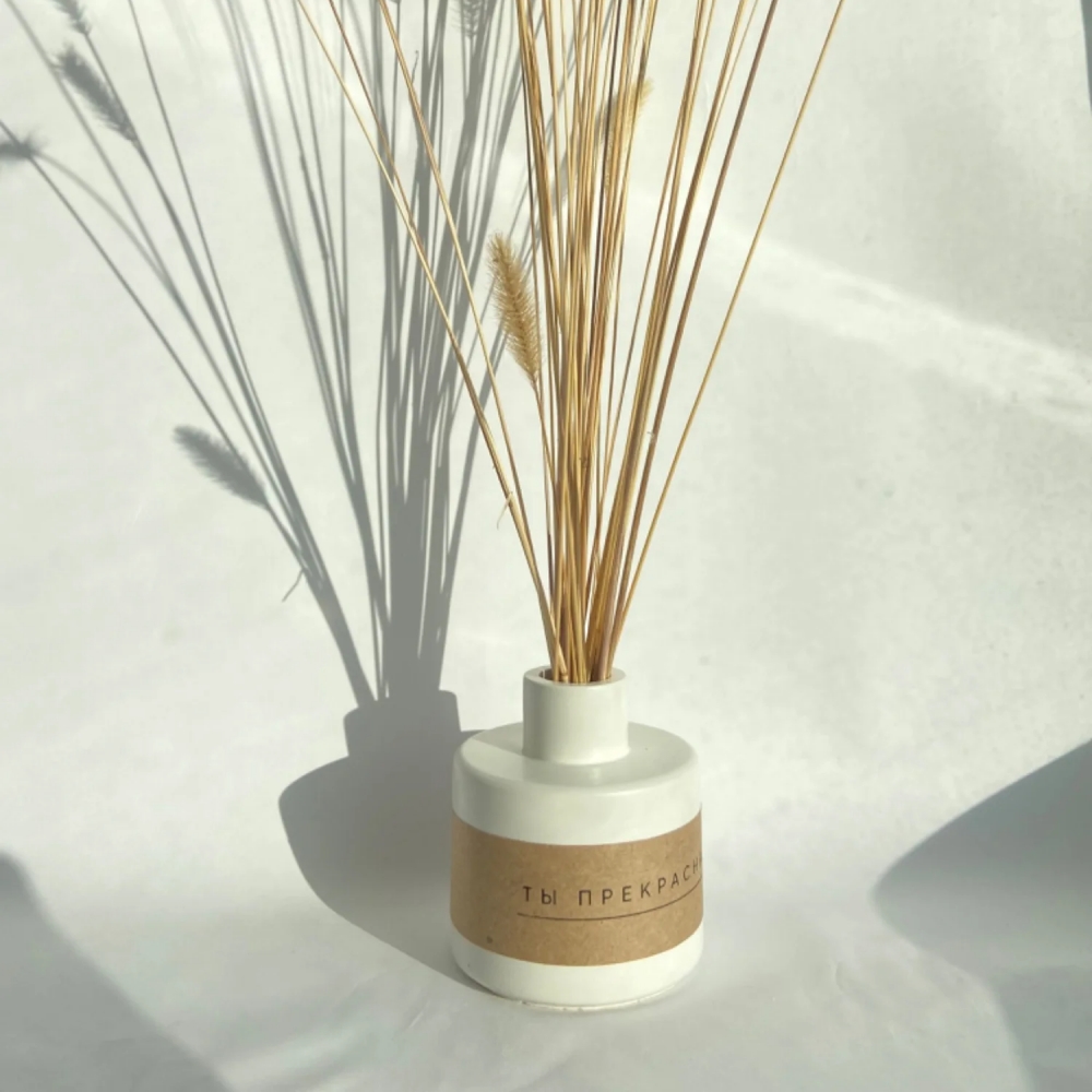 Fragrance Bottle Clay Silicone - огляд і ціна Room Spray Bottle