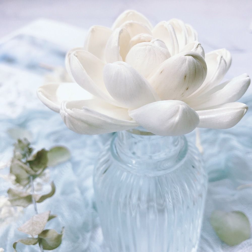 Expand Fragrance Flower For Ho - огляд і ціна Home Fragrance Diffuser Sticks