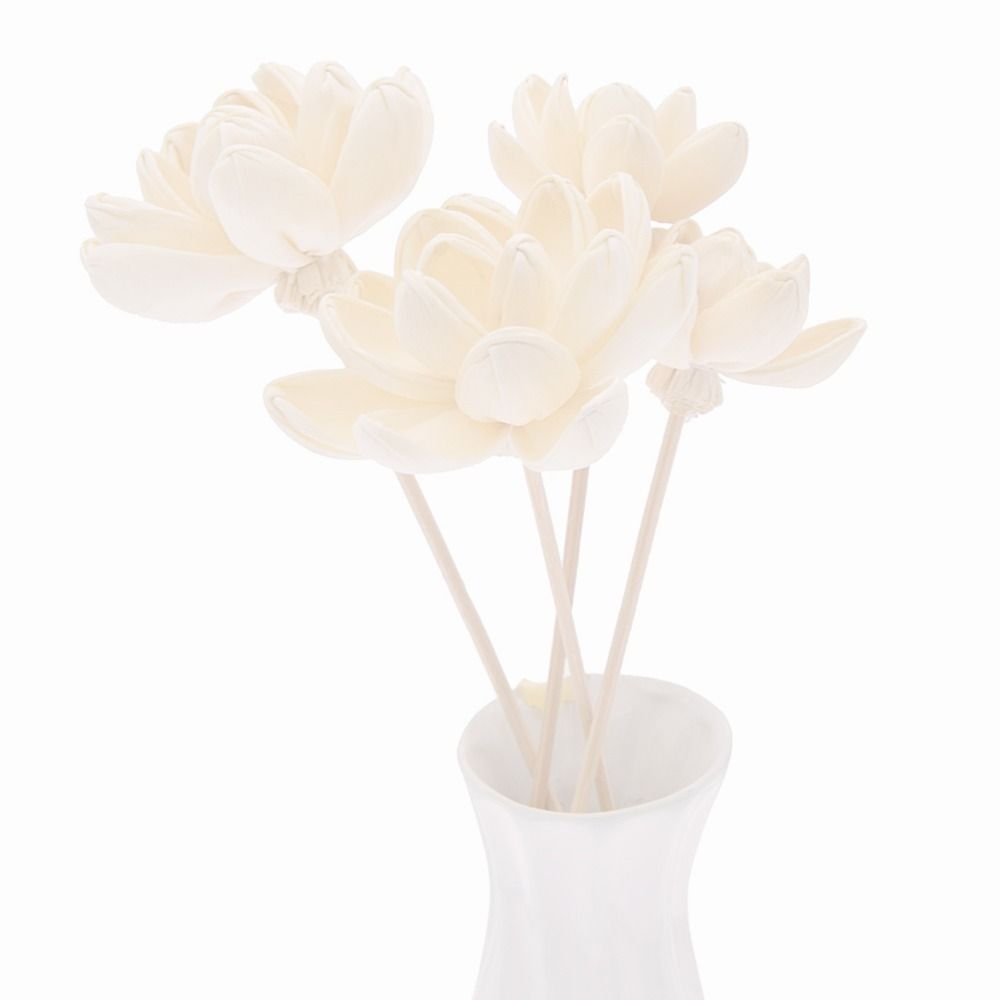 Expand Fragrance Flower For Ho - огляд і ціна Home Fragrance Diffuser Sticks