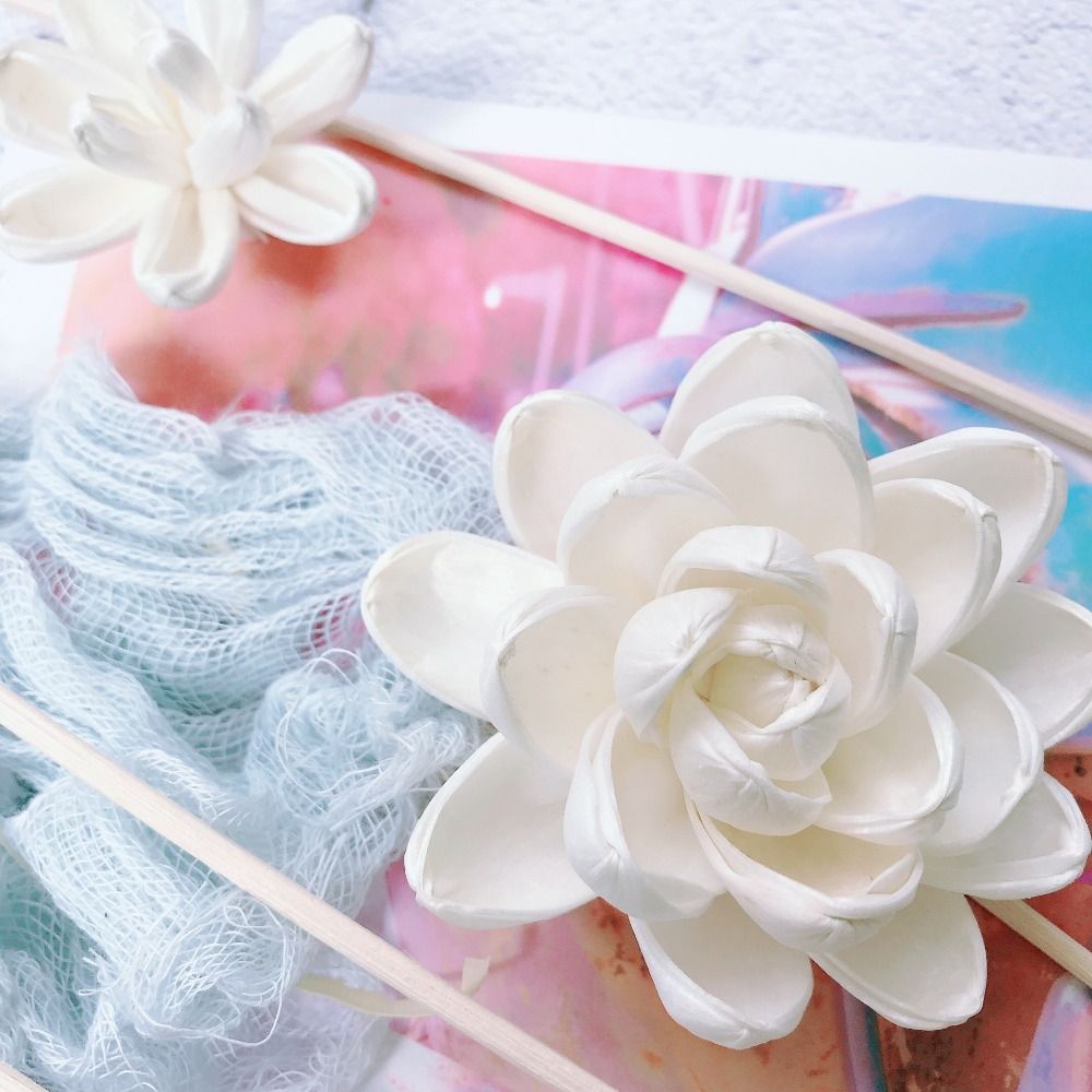 Expand Fragrance Flower For Ho - огляд і ціна Home Fragrance Diffuser Sticks